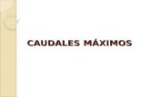 CAUDALES MÁXIMOS
