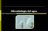 Microbiologia Ambiental. Clase 12. Microbiología Del Agua (1)
