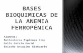 DIAPOS-FINAL Anemia Ferrofenica