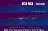 MOPA - MOPA.pdf