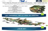 Ley General de La Vida Silvestre-IsO14001