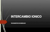 INTERCAMBIO IONICO