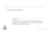 Clase 8 - Flexion Pura V250505