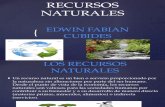Recursos Naturales -Edwin Fabian Cubides-9-3
