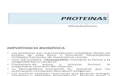 Presentación de Proteinas (Metabolismo)