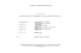 TC1 Informe G299003_28.docx