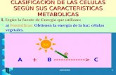 Metabolismo Vegetal