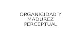 Organicidad y Madurez Perceptual1