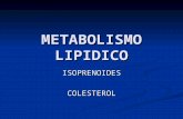 metabolismo-lcolesterol (1)