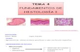 Histología biologica