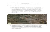 Informe Ecologia Chiguata