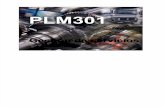PLM301 Gestión de Servicios