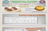 Chavez Peralta - Frutas y Hortalizas - Monografia 1 - Produccion de Panela a Nivel Industrial y Artesanal