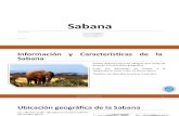 Diapositivas Exposici³n Sabana. Ecolog­a y Educaci³n Ambiental