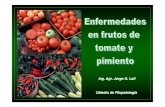 Enfermedades de Tomate y Pimiento - Bromatologia