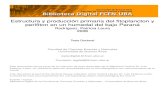 Estructura y producción primaria del fitoplancton y perifiton en un humedal del bajo Paraná - Rodríguez, P..pdf