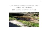 Las Contaminaciones Del Río El Factor