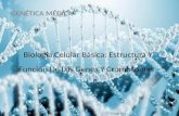 Genetica Biologia Celular Básica 2