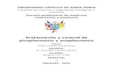 Tratamiento y control de piroplasmosis y anaplasmosis.docx