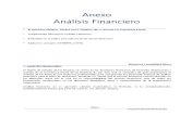 1. Anexo Análisis Financiero