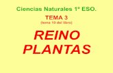 Biología y Geología de 1º ESO; Tema 3:Reino Plantas