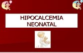 hipocalcemia neonata 1111l