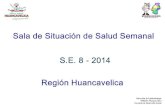 Sala de Situacion de Salud SE 08 - 2014