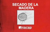 Secado de La Madera INACAP (1)