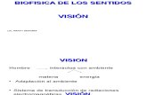 Ondas y Optica - Visión