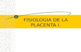 Fisiologia de La Placenta i