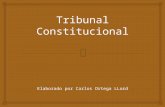 Constitución Española -  Tribunal Constitucional