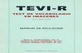 TEVI Instrucciones PDF (2)