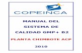 Manual GMP + B2 Chimbote ACP 15.11.2010