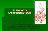 Fisiologia Gastrointestinal