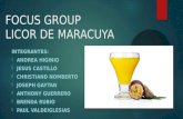 Focus Group . Investigacion de Mercado