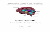 Neurofisiologia 2015