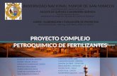Proyecto Complejo Petroquimico de Fertilizantes