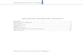 Gestion Del Alcance Del Proyecto_informe (1)