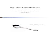 01 Intro Bacterias Fitopatogenas