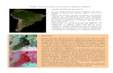 Guia de Interpretacion de Imagenes satelitales Deforestacion