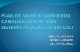 Plan de Manejo Ambiental Canalización de Ríos [Autoguardado]-1