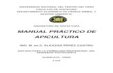 Manual Práctico Apicultura