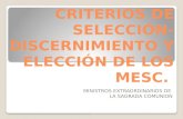 CRITERIOS DE SELECCIÓN- DISCERNIMIENTO Y ELECCIÓN DE LOS MESC. MINISTROS EXTRAORDINARIOS DE LA SAGRADA COMUNION.
