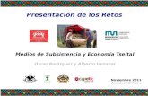 Presentación de los Retos Noviembre 2011 Arrasate, País Vasco. Medios de Subsistencia y Economía Tseltal Oscar Rodríguez y Alberto Irezabal.