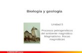 Unidad 5 Procesos petrogenéticos del ambiente magmático: Magmatismo. Rocas magmáticas Biología y geología.