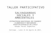 TALLER PARTICIPATIVO SALVAGUARDAS SOCIALES Y AMBIENTALES ESTRATEGIA NACIONAL DE CAMBIO CLIMÁTICO Y RECURSOS VEGETACIONALES DE CHILE Grupo Focal Expertos.