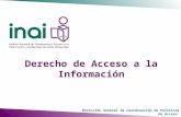 Dirección General de Coordinación de Políticas de Acceso Derecho de Acceso a la Información.