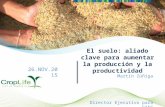 El suelo: aliado clave para aumentar la producción y la productividad Martín Zúñiga Director Ejecutivo para CA&C CropLife Latin America 26.NOV.2015.