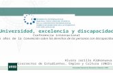 Universidad, excelencia y discapacidad Conferencia internacional 5 años de la Convención sobre los derechos de las personas con discapacidad Alvaro Jarillo.