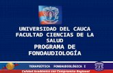 UNIVERSIDAD DEL CAUCA FACULTAD CIENCIAS DE LA SALUD PROGRAMA DE FONOAUDIOLOGÍA Calidad Académica con Compromiso Regional y Nacional TERAPEÚTICA FONOAUDIOLÓGICA.